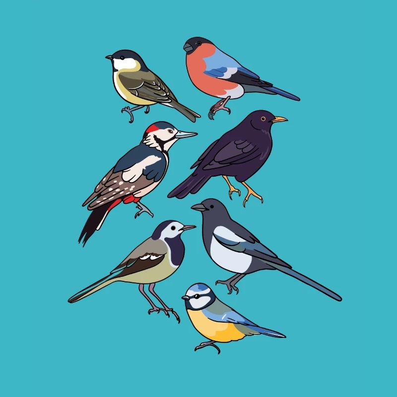 Oiseaux de jardin Oiseaux