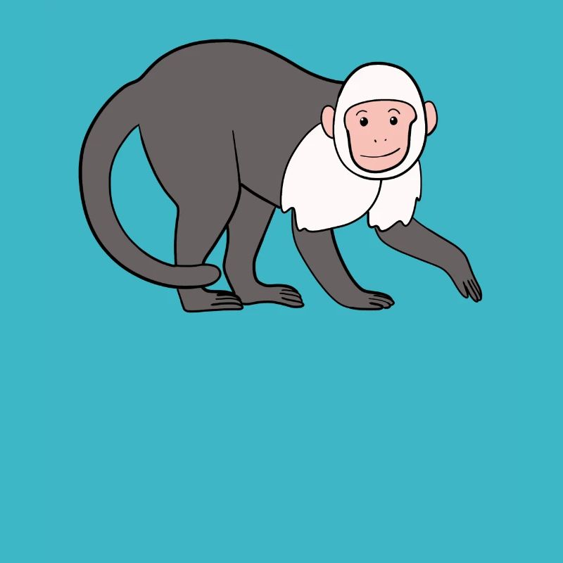 Capuchin Monkey Monkey