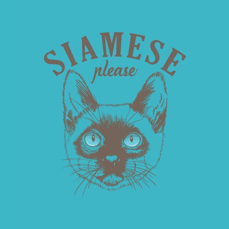 Chat siamois s’il vous plaît Race de chat de compagnie