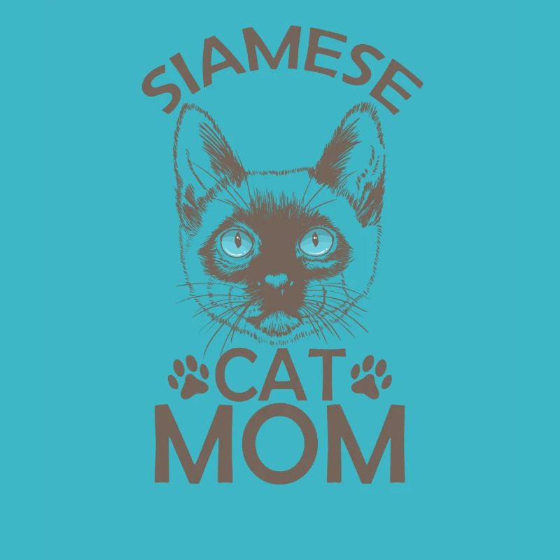 Chat siamois Maman Race de chat de compagnie