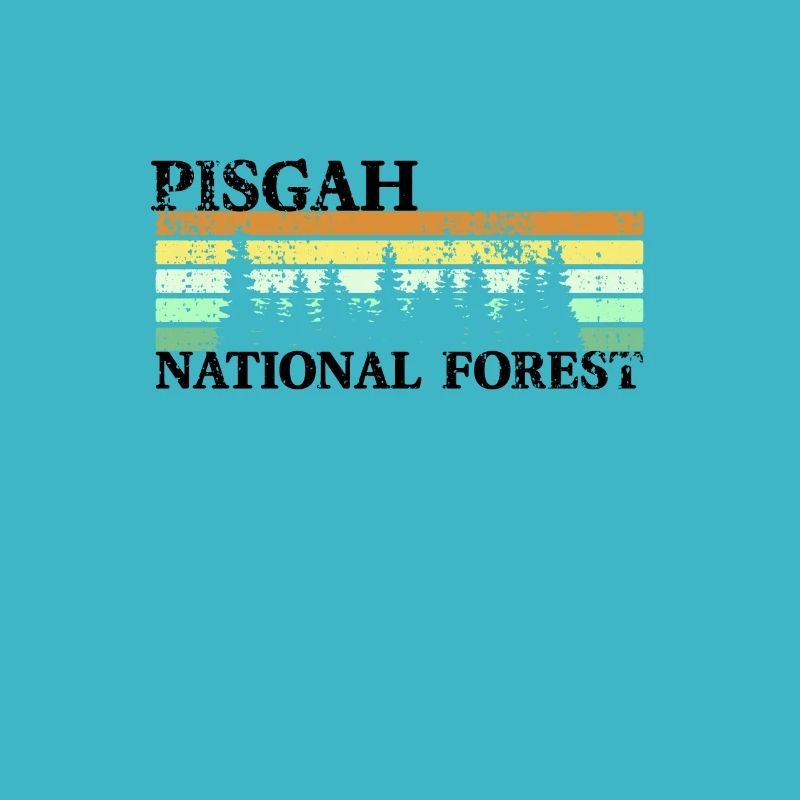 Rétro de la forêt nationale de Pisgah