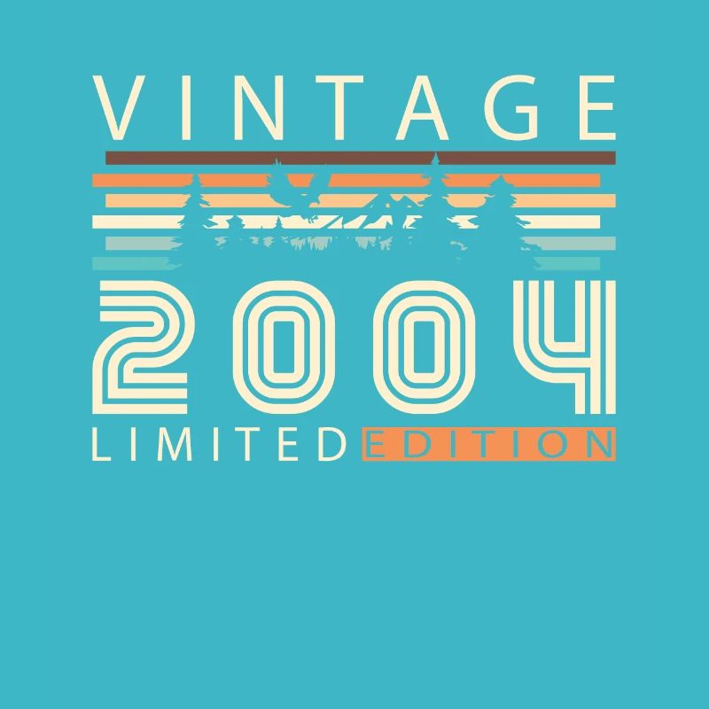Vintage 2004 Retro 2004 Birthday Gift