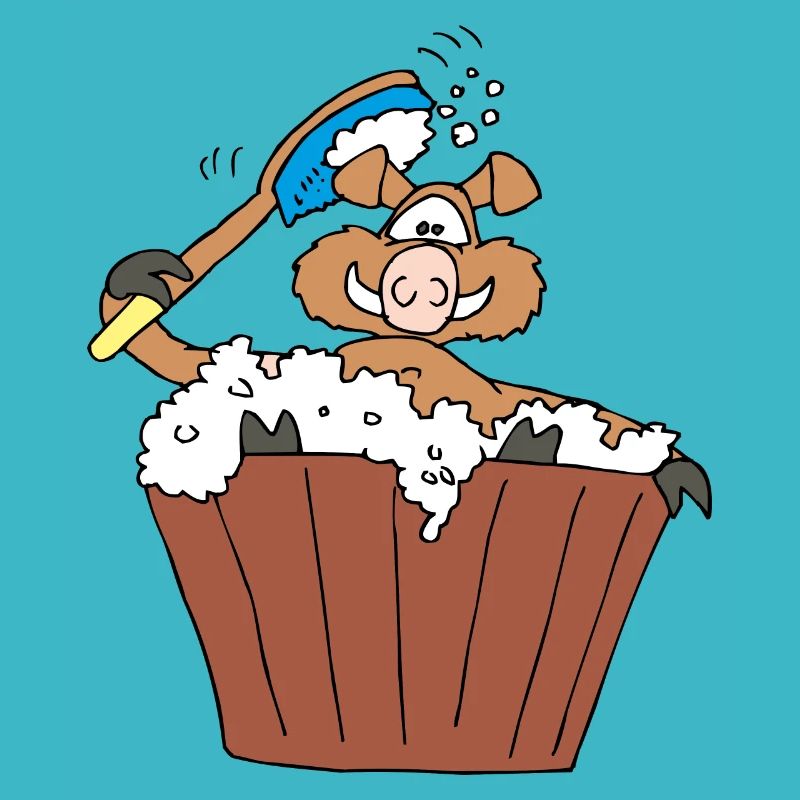 Old boar takes a bath