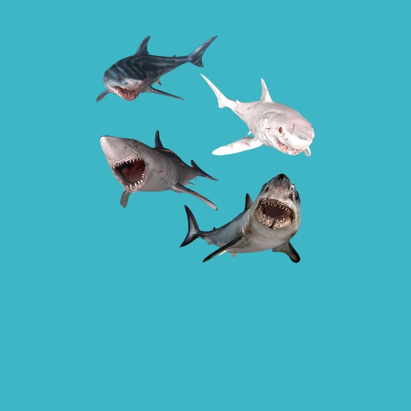 Deep Sea Creatures - Nautical Ocean Life Sharks