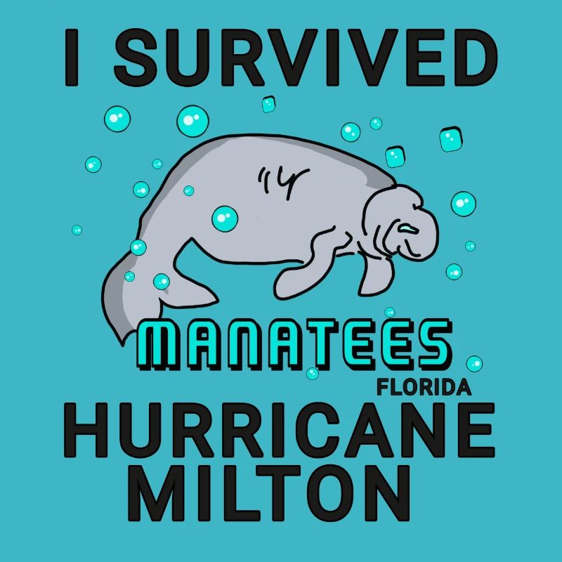 I survived Hurricane Milton Manatee