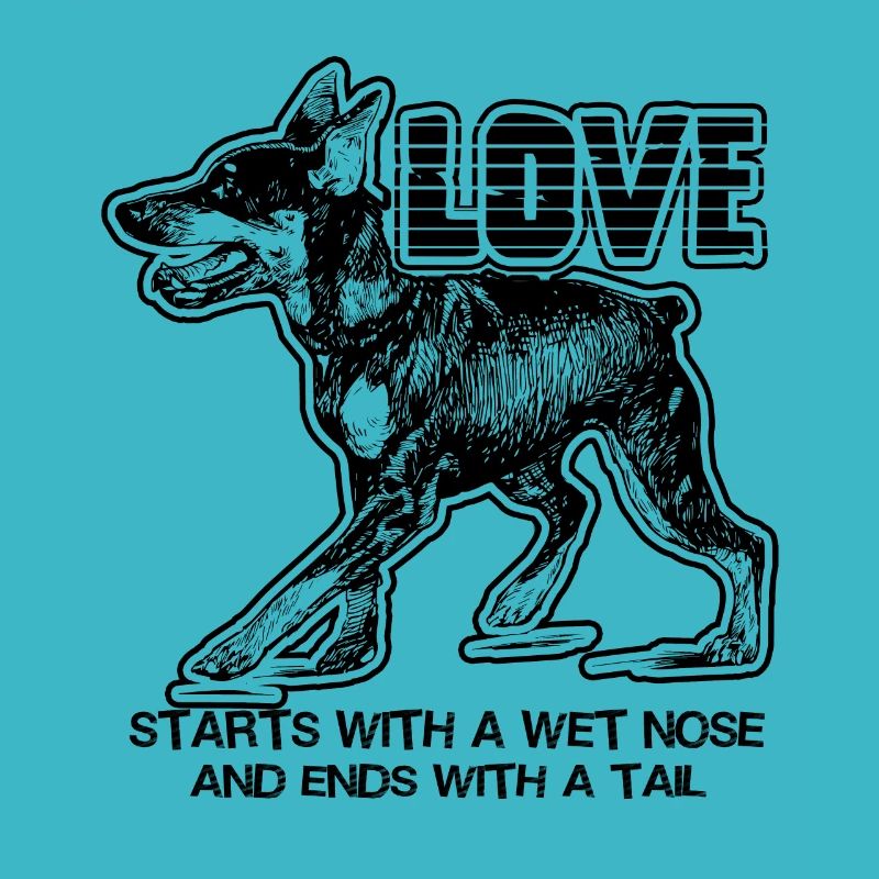 Doberman Pinscher Starts With A Wet Nose