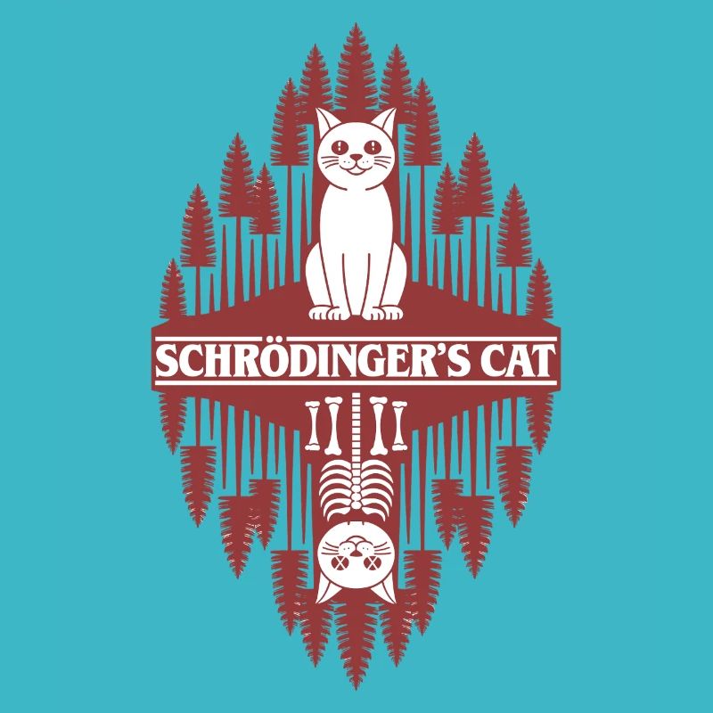 Le chat de Schroedinger : une chose étrange