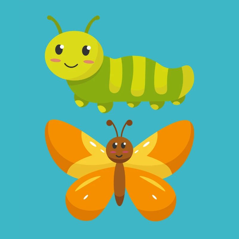 De la chenille au papillon