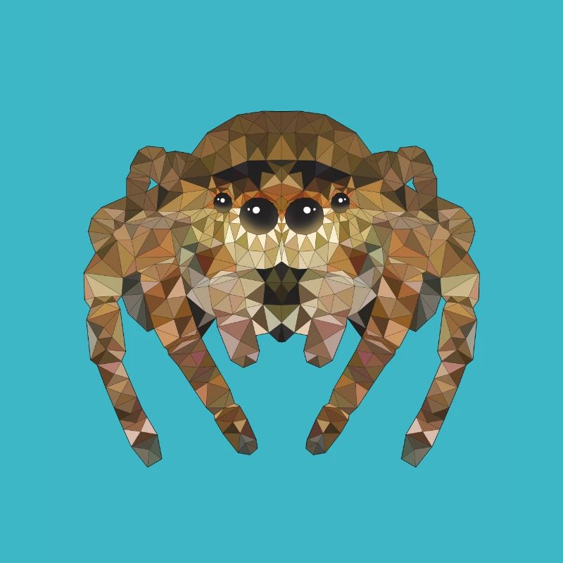 Polygone Araignée Araignées Insectes Animaux de compagnie Enfants