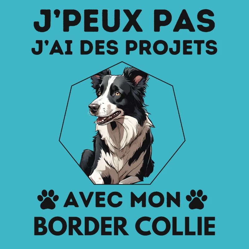 chien doux border collie 4