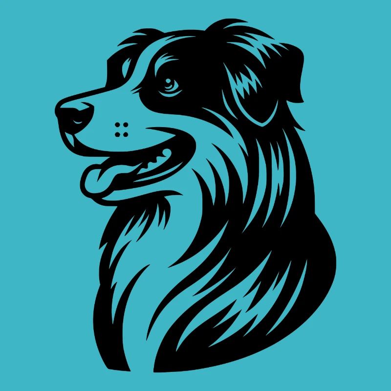 Cuddly Australian Shepherd Dog Four-legged Friend