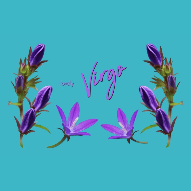 Vierge Signe du zodiaque Vierge Clocher