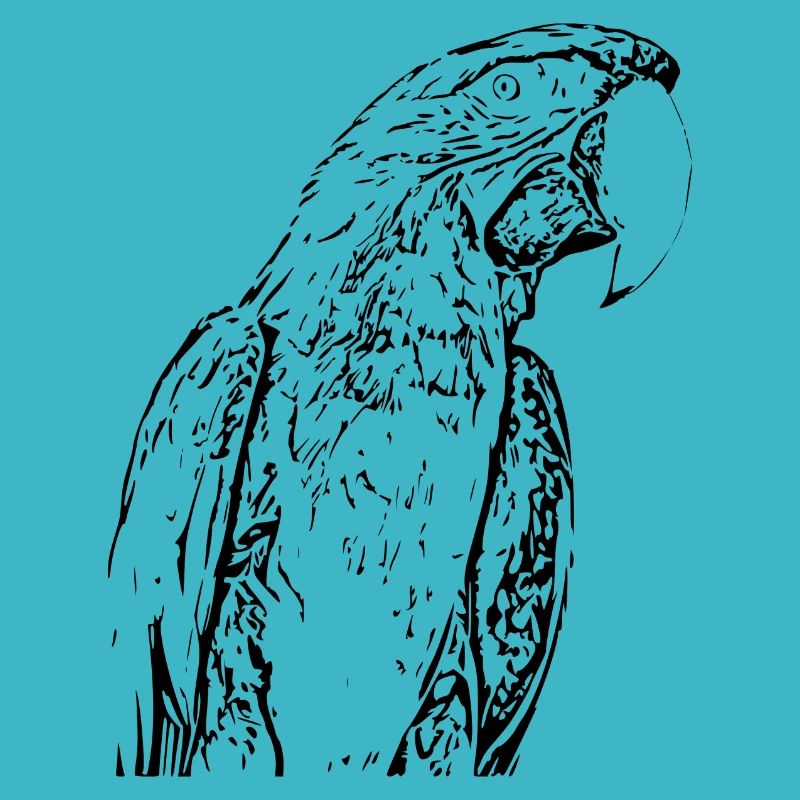 Oiseau perroquet noir