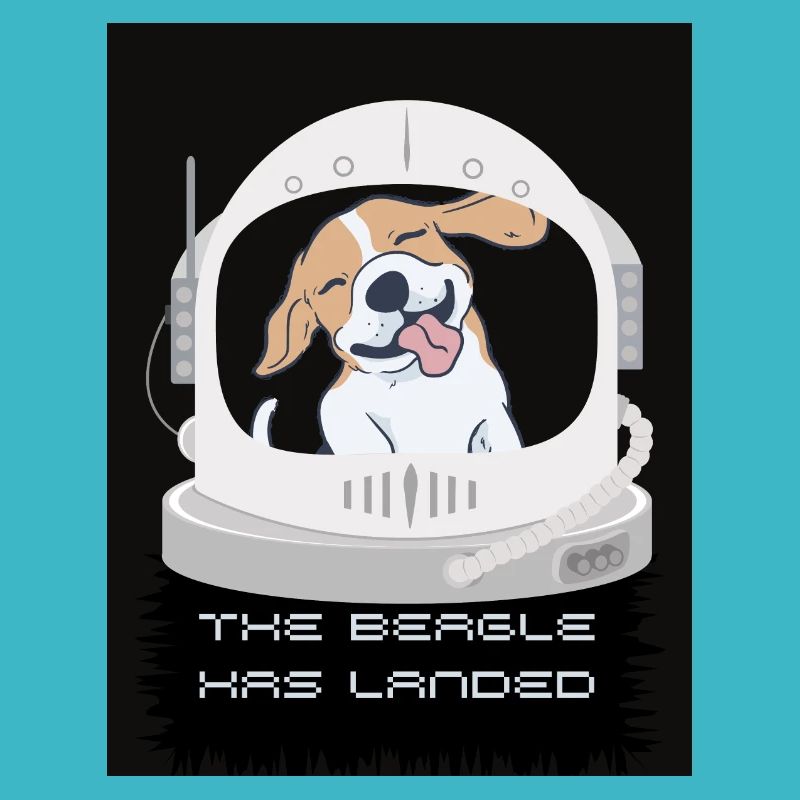 Le Beagle a atterri