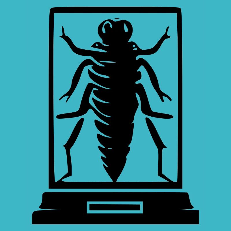 Insect Museum