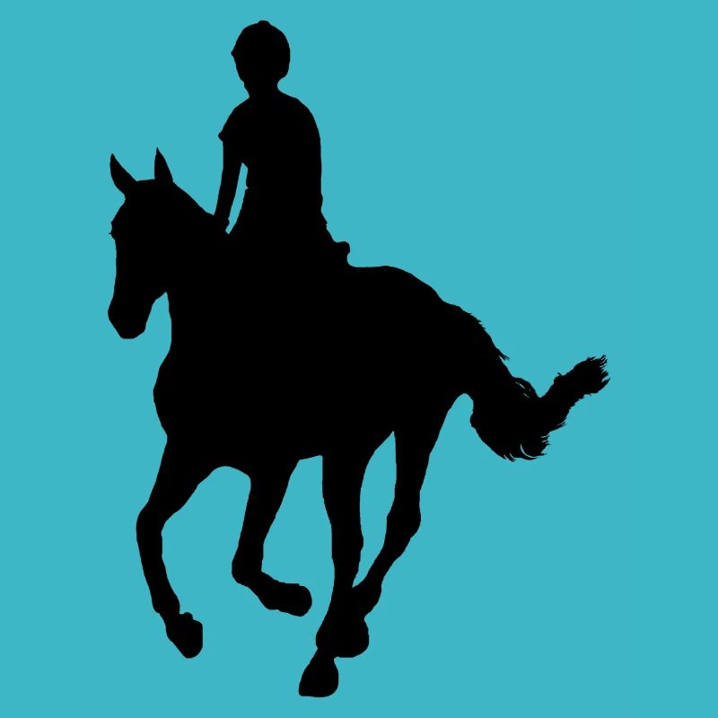 Rider on Horse