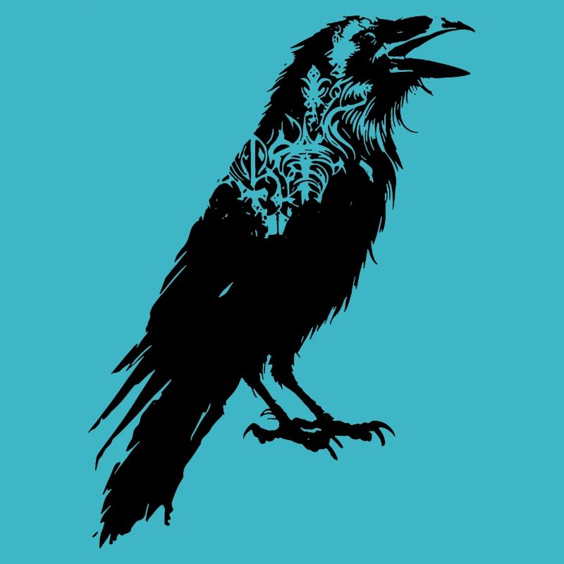 Crow Bird Animal