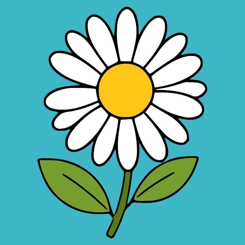 Fleur blanche Blanche Fleur Marguerite