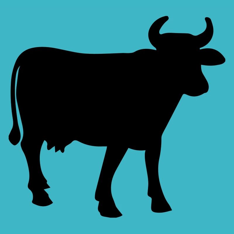 boeuf