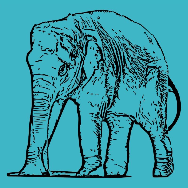 Elefant Baby schwarz