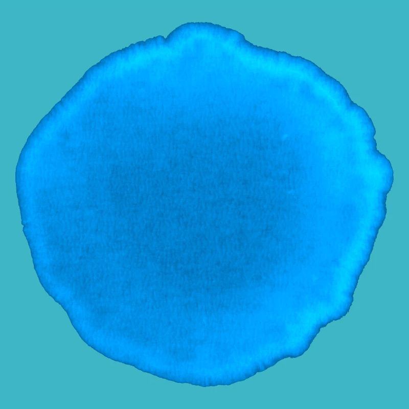 Point Bleu