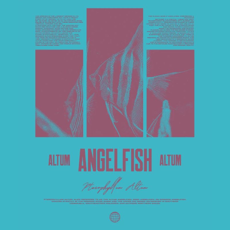 Altum Angelfish Cichlid Aquarium Fish Keeper