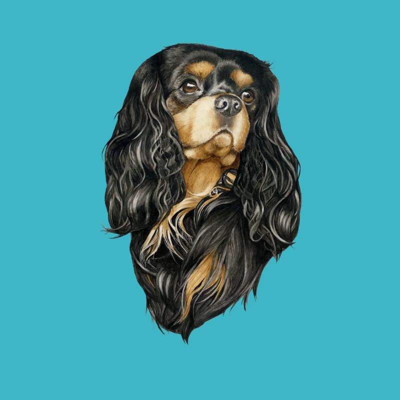 Black and Tan Cavalier