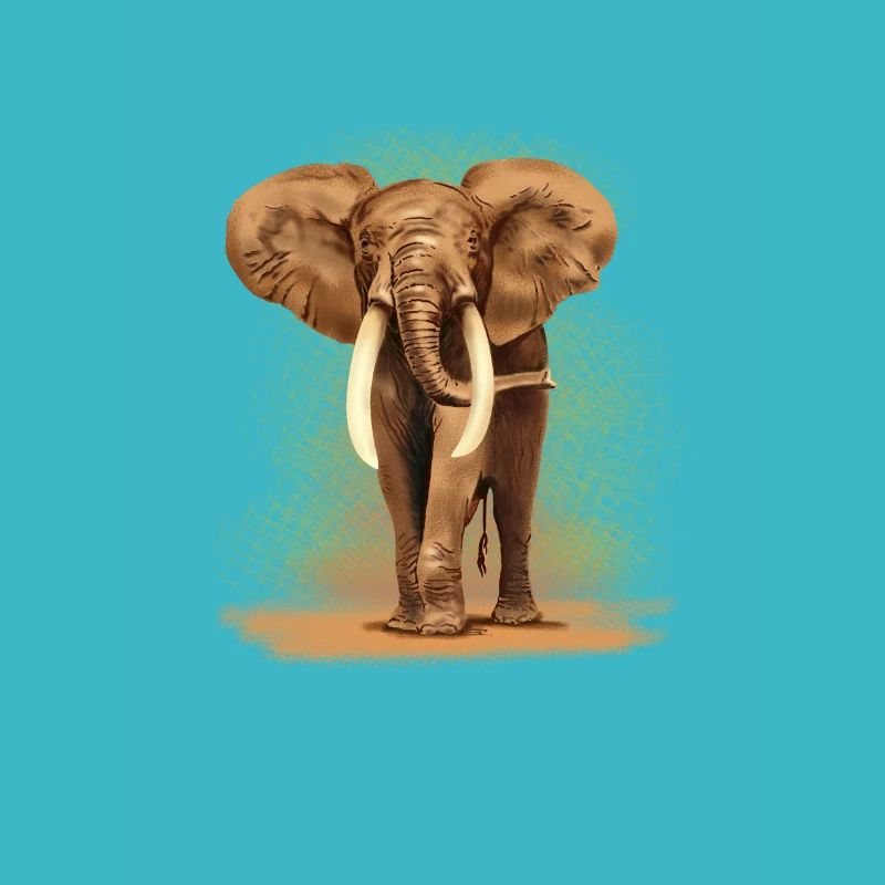 éléphant