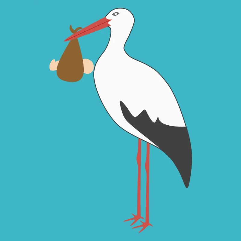 Stork Carrying Baby
