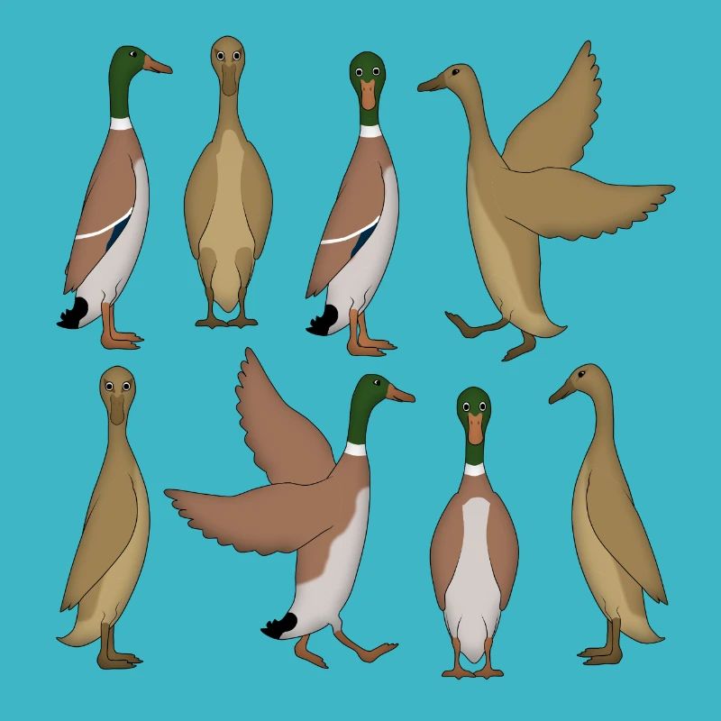 Sélection de canard en cours d’exécution