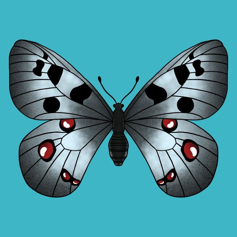 Schmetterling grau