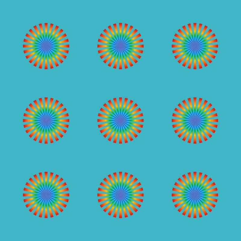 Rainbow flowers