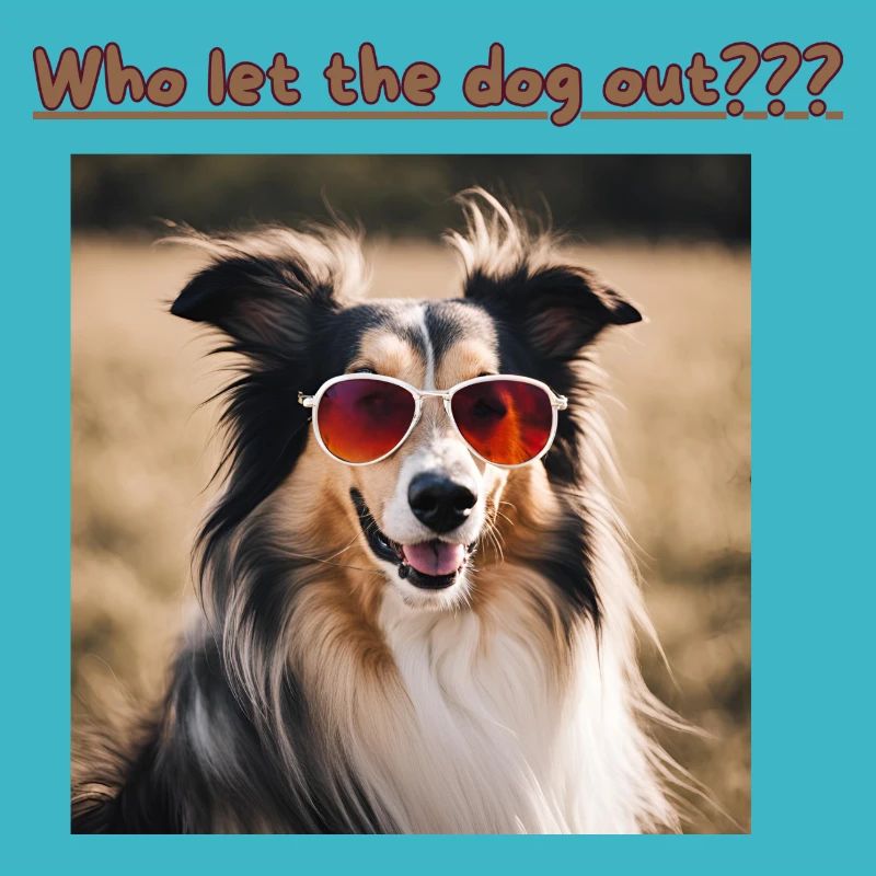Collie, qui a laissé sortir le chien