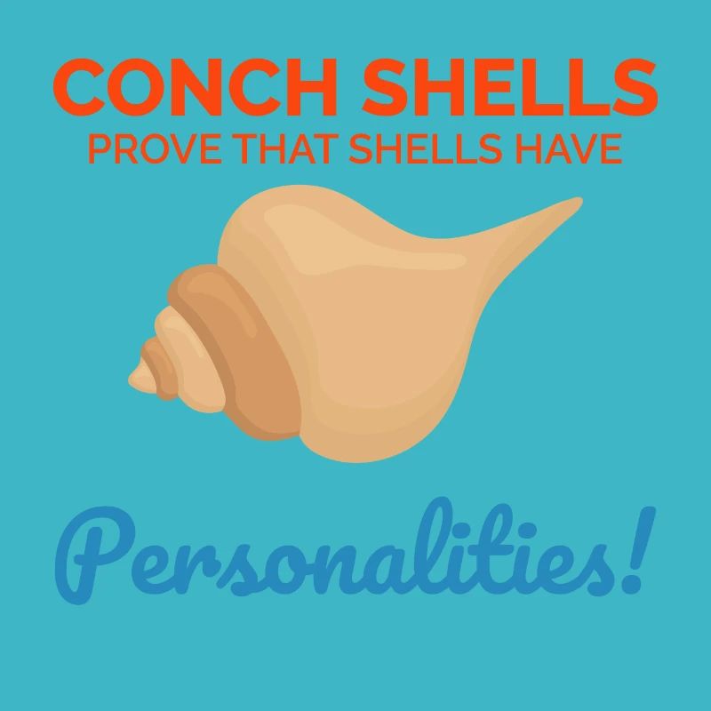 Conque Coquillages Collector Beachcomber Coquillage