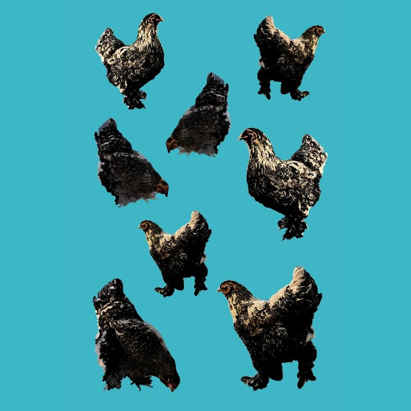 Poulets