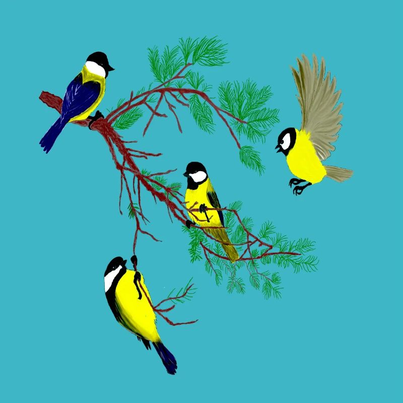 Oiseaux23