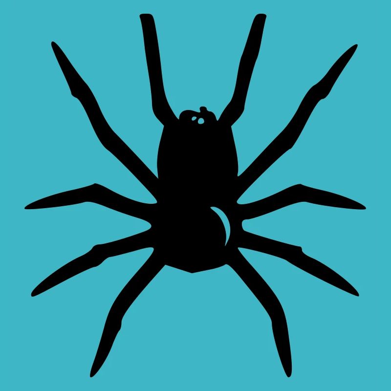 Araignée
