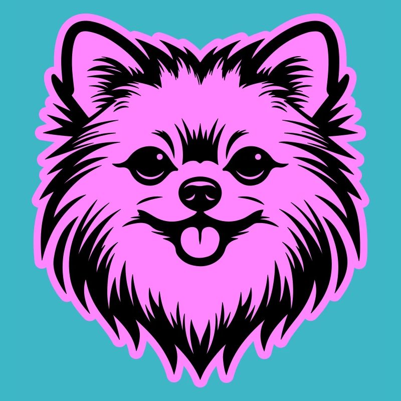 Pomeranian Hund Kopf