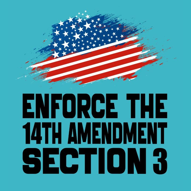 Enforce The 14TH Amendment Section 3
