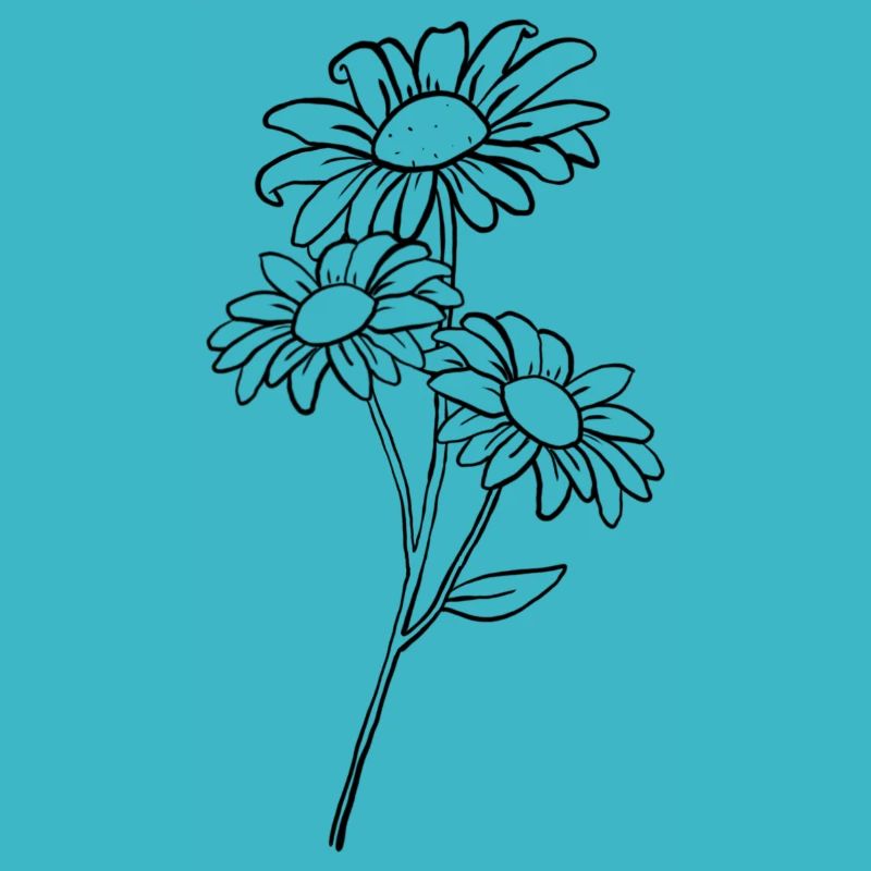 Gänseblümchen / Daisy