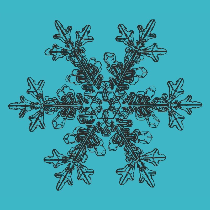 snowflake 7 black