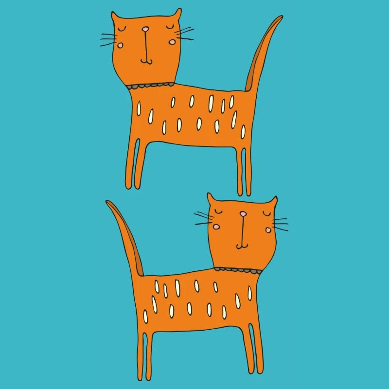 Chat Orange Double