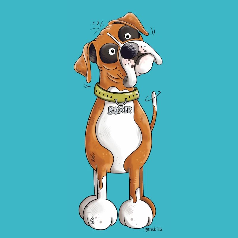 Boxer