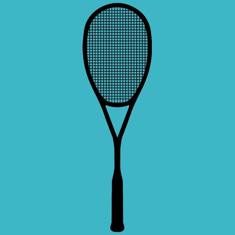 Raquettes de squash