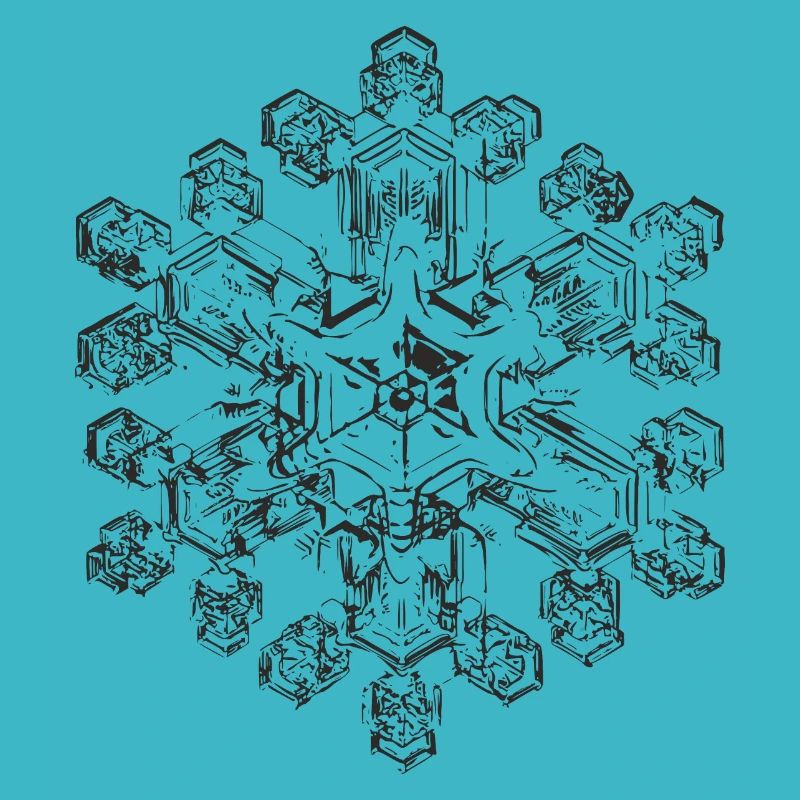 snowflake 9 black