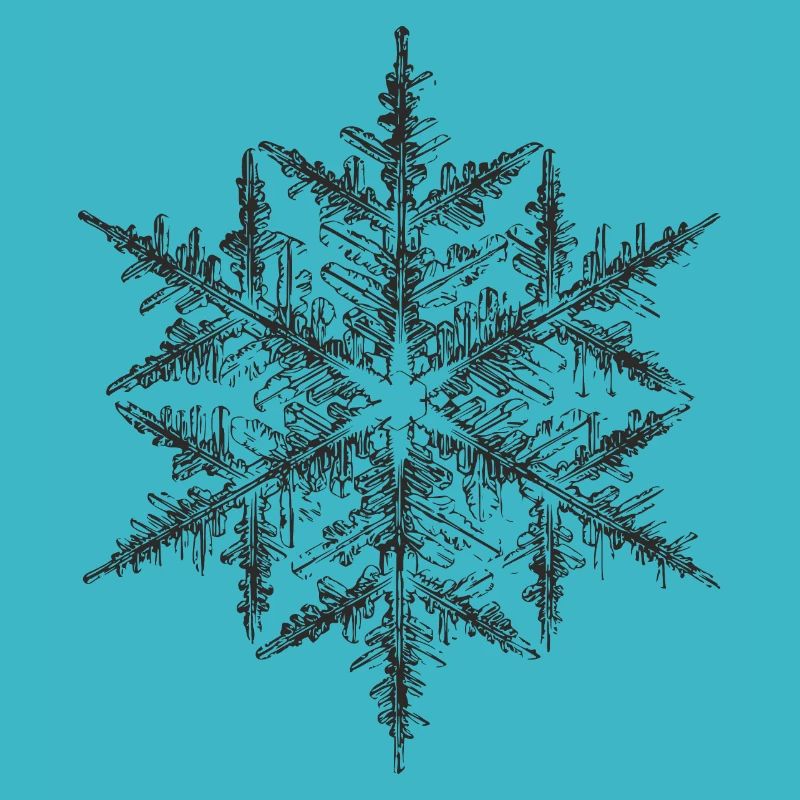 snowflake 5 black