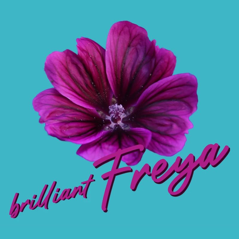 Freya Anniversaire Freya