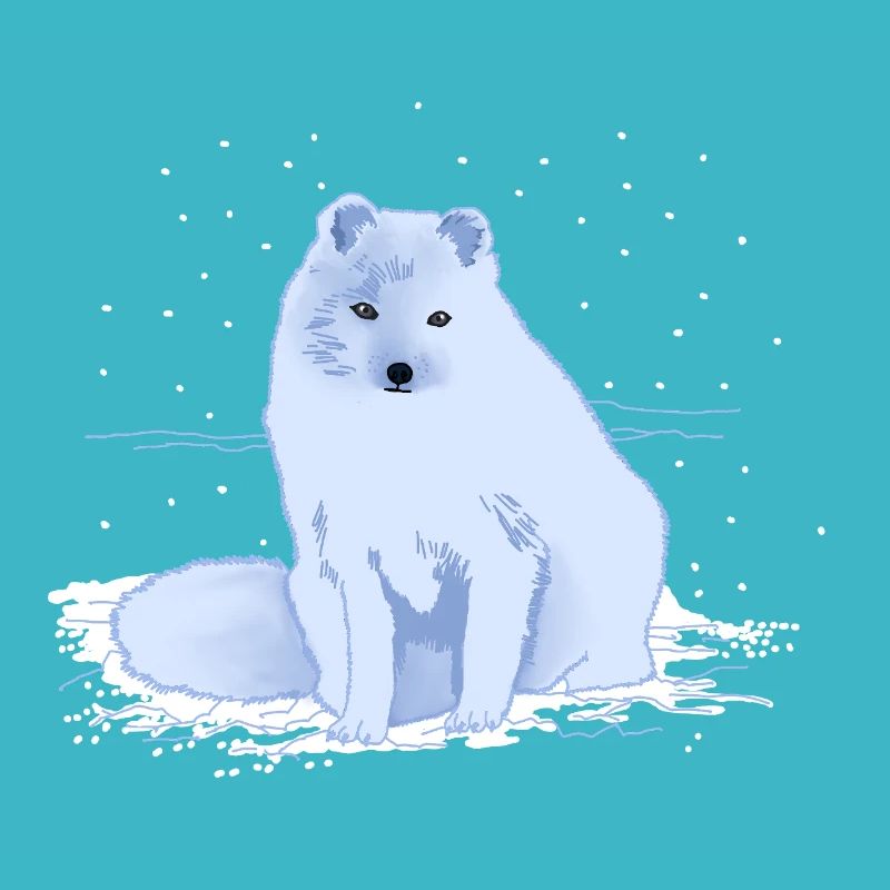 Arctic fox in the snow