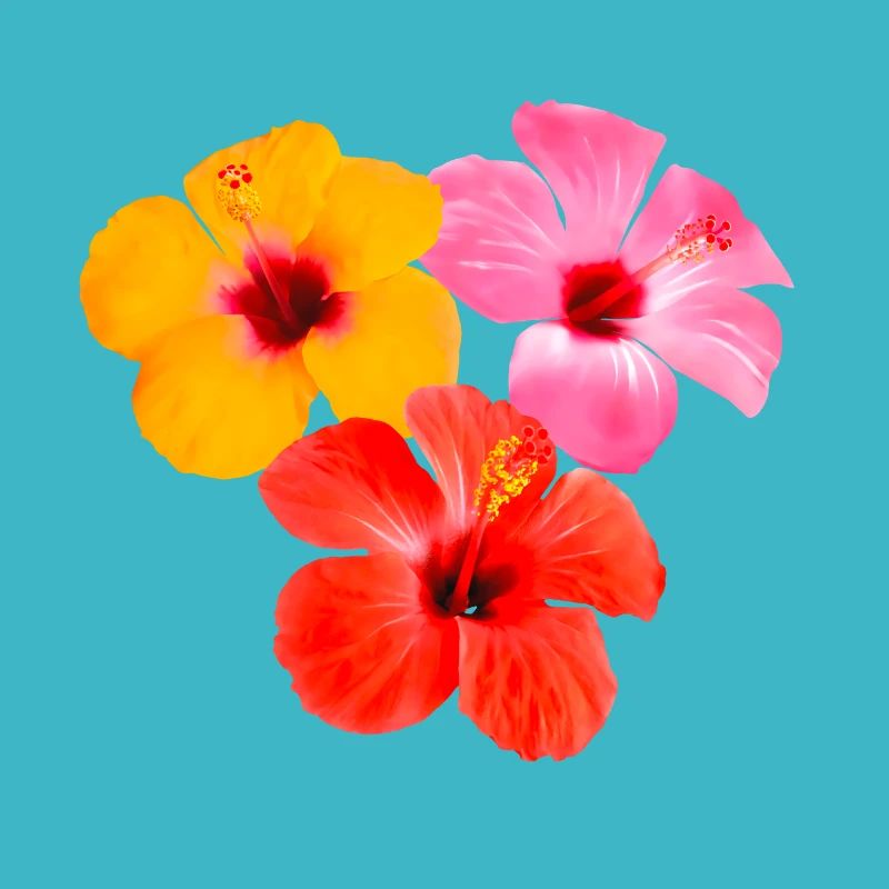 Trio d’hibiscus - Fleurs tropicales
