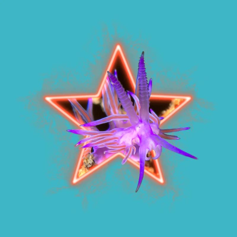Flabellina im Stern